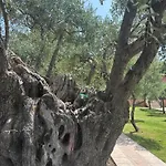 아파트 Sissy's San Antonio Thassos 포토스