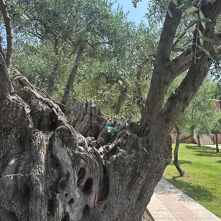 Apartman Sissy's San Antonio Thassos Potósz